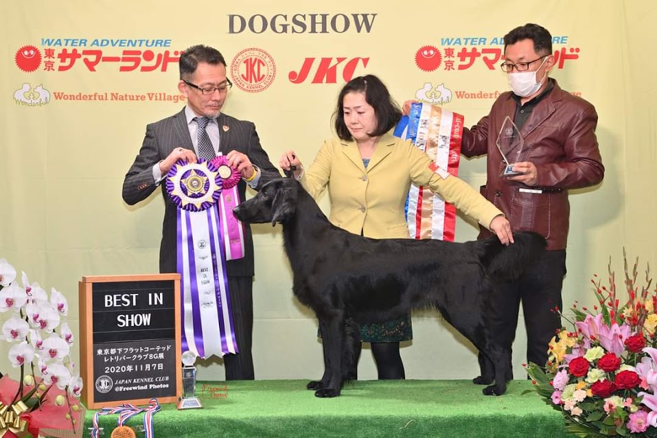 クレアベストインショー