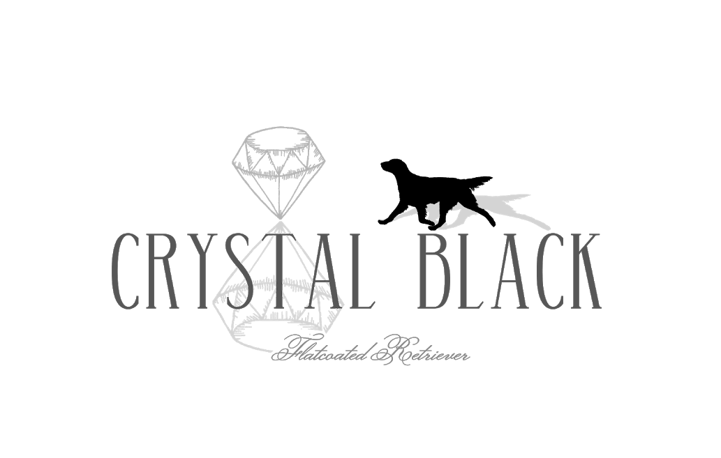 CRYSTAL BLACK KENNEL